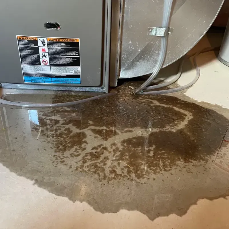 Appliance Leak Cleanup in Elkhart County, IN